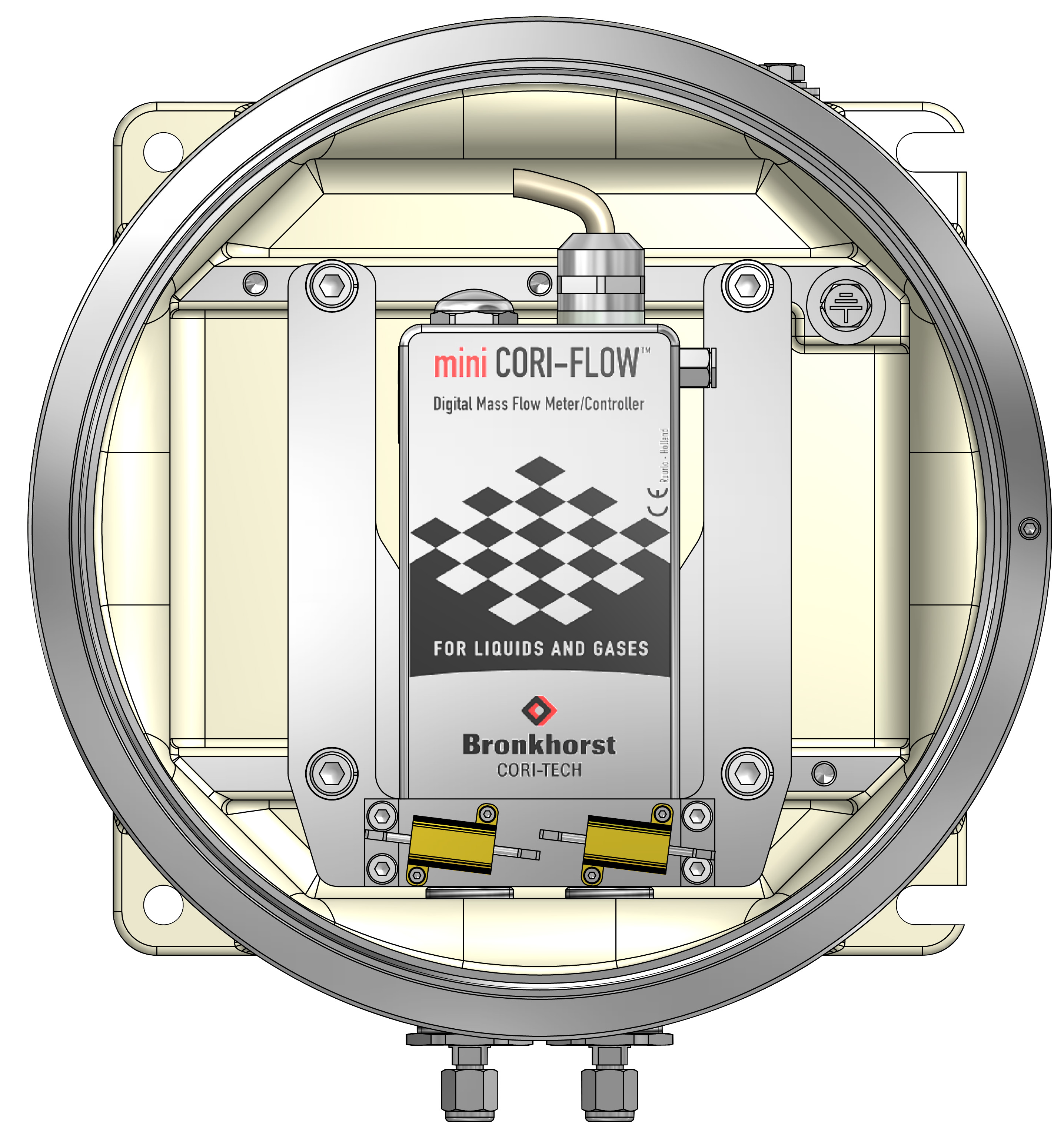 Coriolis Mass Flow Meter