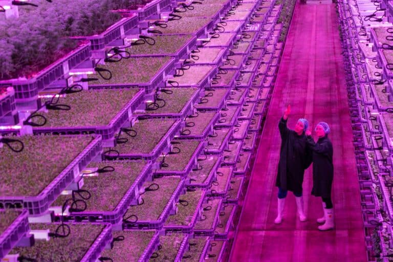 Tripled Crop Yield, Decreased Costs, and Improved ROI - Vertical Farming with UniCloud